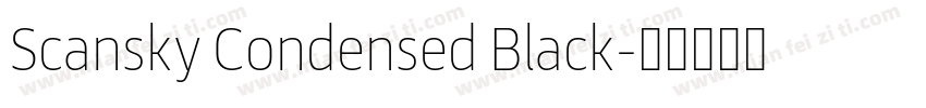 Scansky Condensed Black字体转换